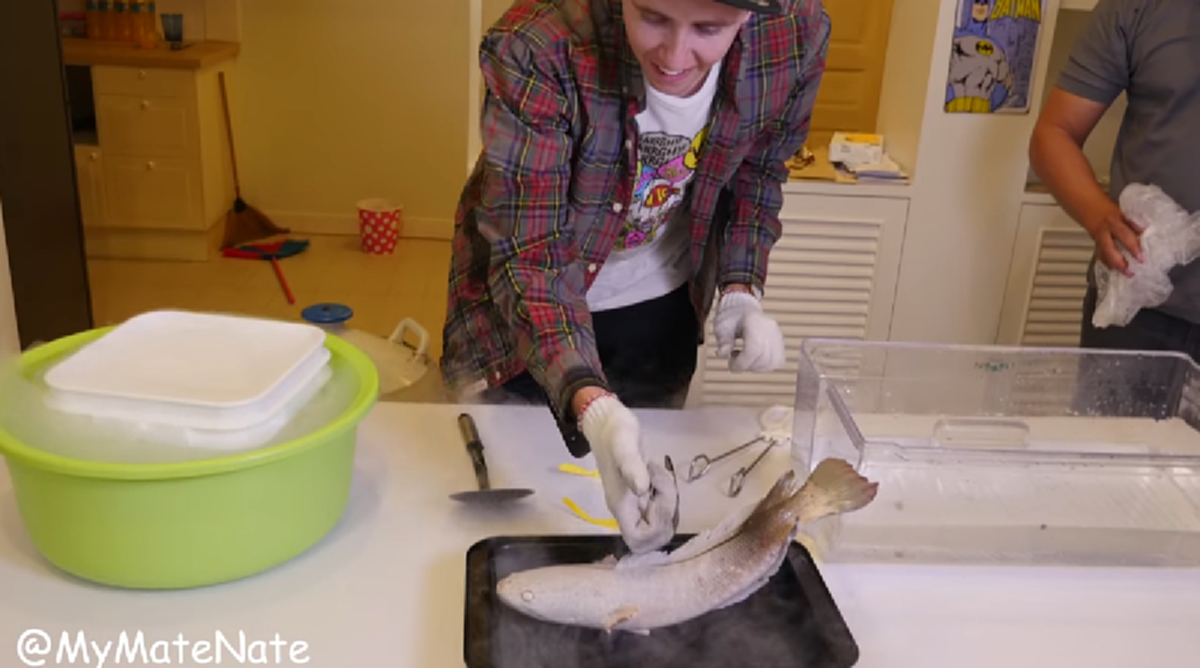 งานเข้า!!! ชาวเน็ตรุมสวด "My Mate Nate" หลังทำคลิป จับปลาตัวเป็นๆ มาทดลองแช่แข็ง ชี้อาจเข้าข่ายทรมารสัตว์!!! (มีคลิป)