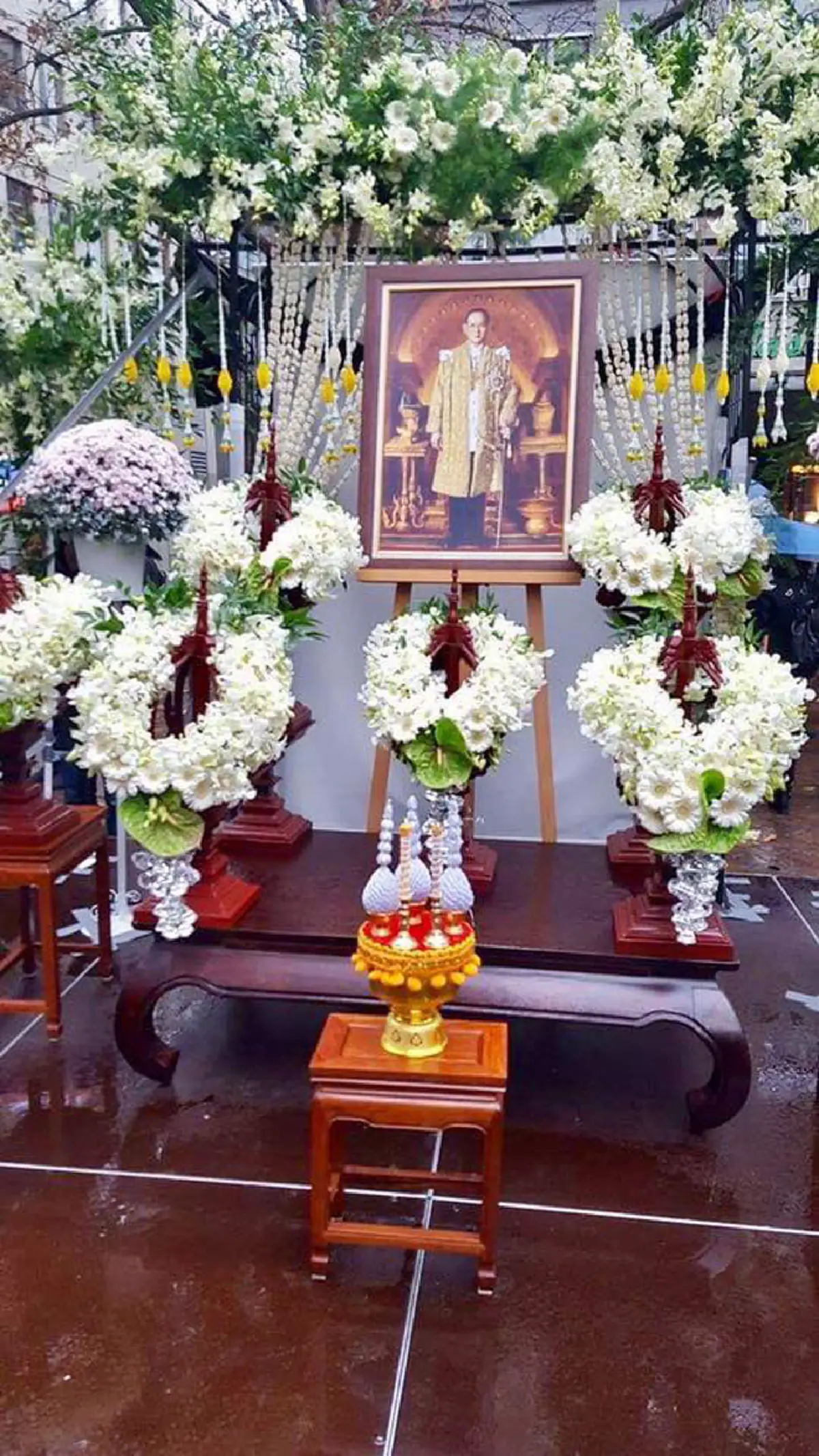 เป็นที่ประจักษ์ !!!  "ชาวสวิสเซอร์แลนด์ " นับพันคน  ร่วมเดินขบวนสดุดี "ในหลวงรัชกาลที่ 9" ยกย่องพระมหากษัตริย์นักพัฒนา 