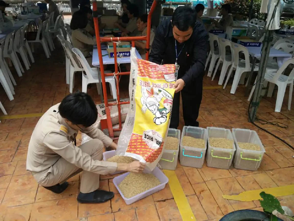 สำนักนายกขอเชิญจิตอาสาร่วมทำของที่ระลึก ข้าวพอเพียง แจกประชาชนถวายบังคมพระบรมศพแจกวันละ 2 หมื่นถุง