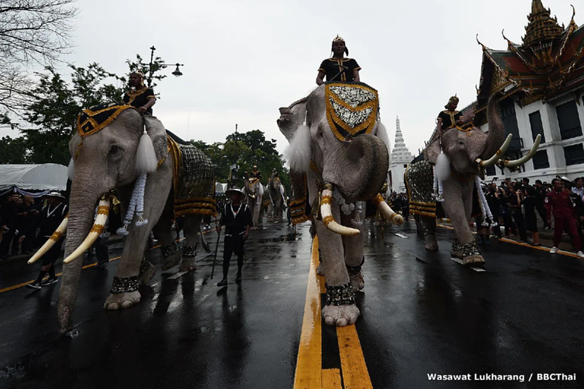 สง่างาม สมพระเกียรติ!! คลิปวินาทีช้างมงคล 11 เชือก ถวายสักการะพระบรมศพในหลวง ร.9 ที่ดูจบแล้ว ต้องน้ำตาไหล!! (มีคลิป)