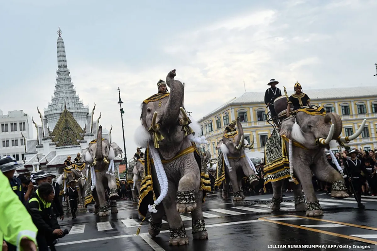 สง่างาม สมพระเกียรติ!! คลิปวินาทีช้างมงคล 11 เชือก ถวายสักการะพระบรมศพในหลวง ร.9 ที่ดูจบแล้ว ต้องน้ำตาไหล!! (มีคลิป)
