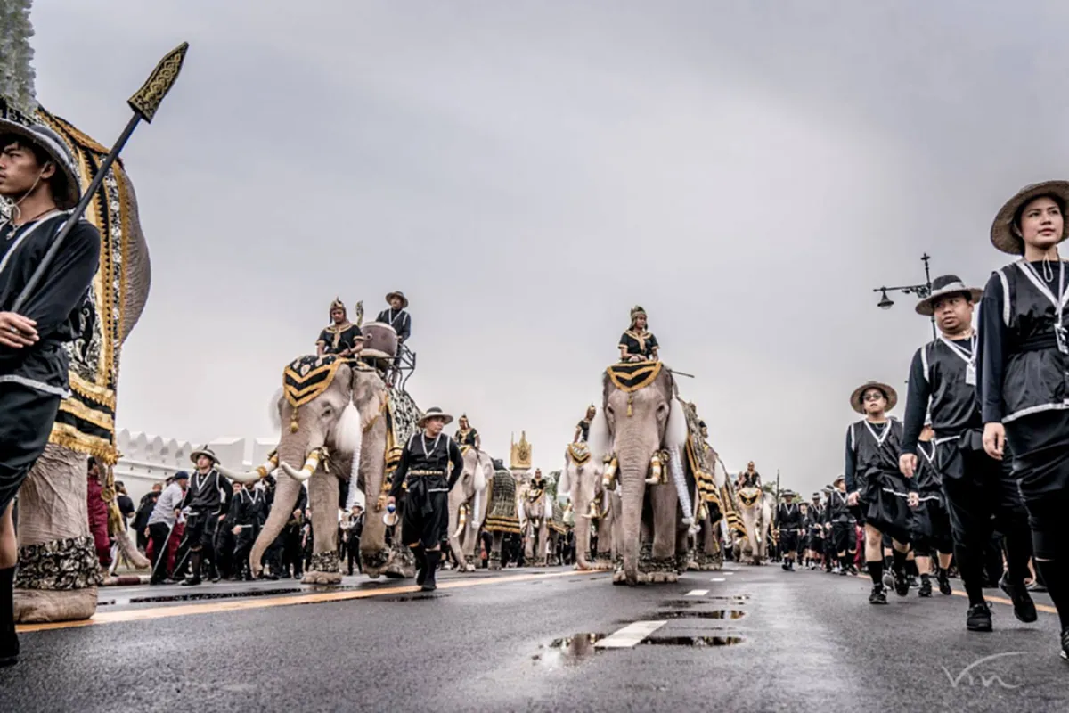 สมฐานะจริงๆ!!! ชาวเน็ตแชร์ภาพอดีตงานแต่ง "หมอพลอย" ควาญช้างสาวสวยร่วมขี่ช้างถวายความอาลัยในหลวง ร.9 บอกเลยอลังการสุดๆ ให้รู้เลยว่ามาจากปาง..ไหน!!