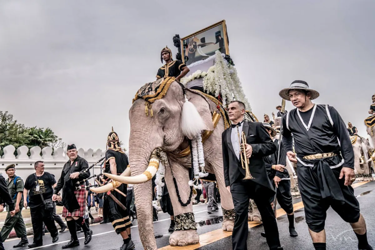 สมฐานะจริงๆ!!! ชาวเน็ตแชร์ภาพอดีตงานแต่ง "หมอพลอย" ควาญช้างสาวสวยร่วมขี่ช้างถวายความอาลัยในหลวง ร.9 บอกเลยอลังการสุดๆ ให้รู้เลยว่ามาจากปาง..ไหน!!