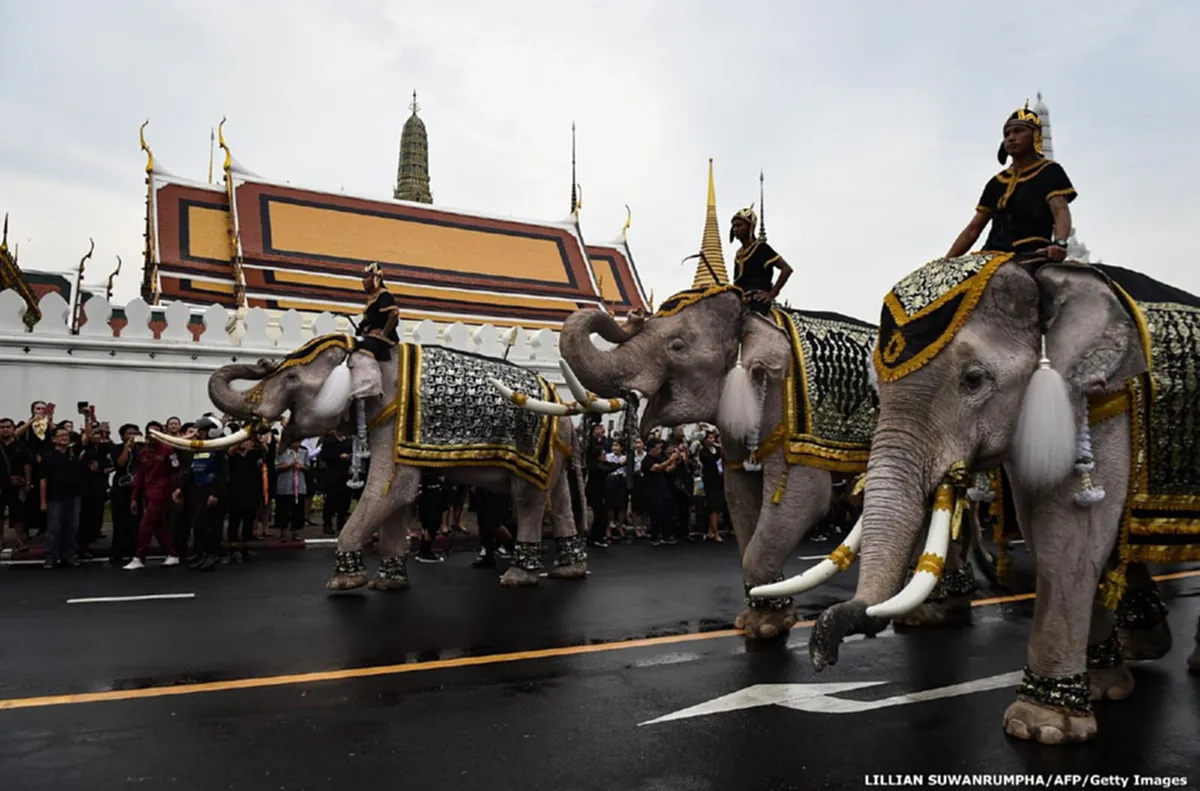 สง่างาม สมพระเกียรติ!! คลิปวินาทีช้างมงคล 11 เชือก ถวายสักการะพระบรมศพในหลวง ร.9 ที่ดูจบแล้ว ต้องน้ำตาไหล!! (มีคลิป)