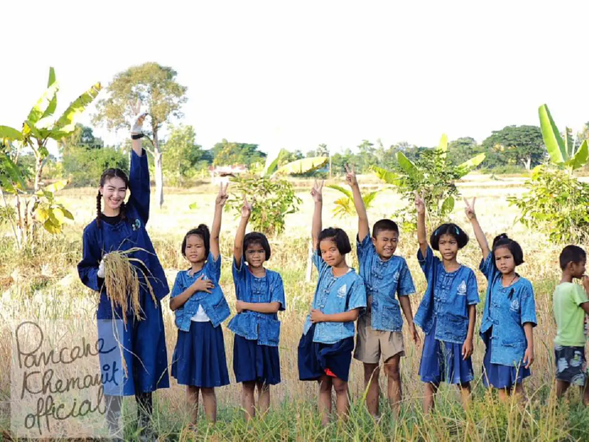 สุดซาบซึ้ง!!!แพนเค้ก เขมนิจดาราดัง ลงมือเกี่ยวข้าวในที่นาตนเองเพื่อสีส่งไปโรงทานท้องสนามหลวงเลี้ยงประชาชนที่มาถวายอาลัยในหลวงร. ๙