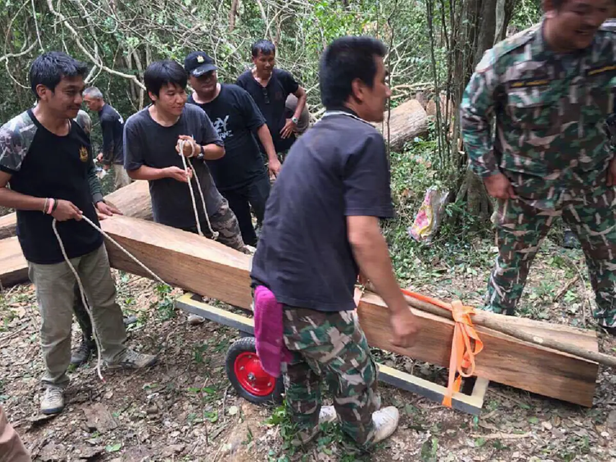 ทุกนาทีอยากให้เวลาช้าลง!!! น้ำตาซึม..ปธ.อนุรักษ์ป่ากุยบุรีอ่านกลอนถวายอาลัยพ่อหลวง เริ่มนำตัดไม้จันทร์หอมใช้พระราชพิธีถวายพระเพลิงพระบรมศพ 