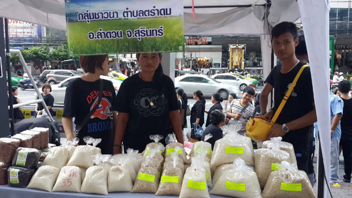 อาศัยร่างคนมาเกิดชัดๆ!!! สาวใจบาปหลอกใช้ธนบัตรปลอมซื้อข้าวยายชาวนาสุรินทร์นำขายให้คนกรุงฯ..รู้แล้วเศร้าใจใครช่วยเหลือได้รีบช่วยด้วยจ้า!!?!!