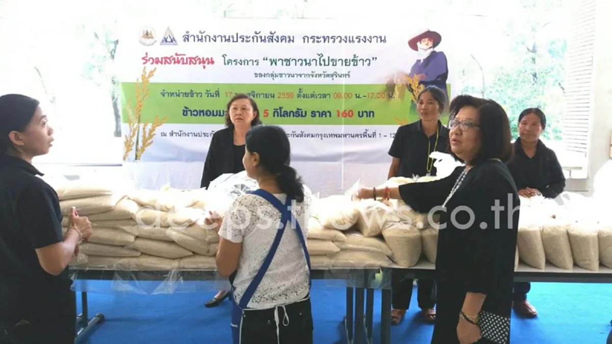 อีเว้นท์ใหญ่แค่ไหนก็เงิบ!!! ด่วนจี๋ข้าวสารหอมมะลิสดใหม่จากท้องทุ่งเมืองสุรินทร์ 31 ตัน ไม่ถึงครึ่งชั่วโมงถูกซื้อหมดเกลี้ยง ชาวนาน้ำตาปริ่มน้ำใจไทยอุดหนุนไทยไม่ต้องผ่านพ่อค้านายทุน