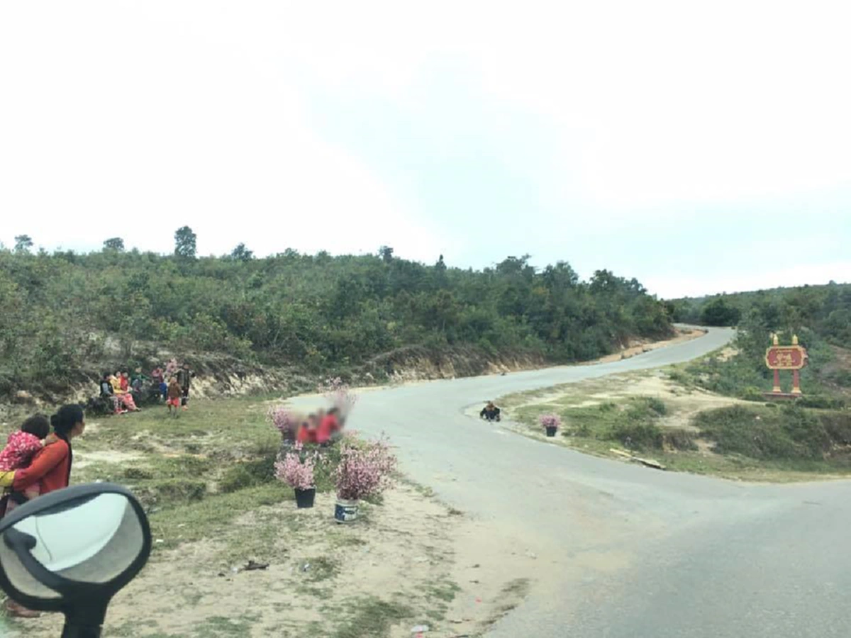 เกินไปแล้ว!! เพจรักเชียงตุง เตือนนักท่องเที่ยวงดซื้อ "ดอกเหมย" หลังพบพ่อค้า แม่ค้ามักง่ายเด็ดดอกทั้งต้นมาวางขาย!!