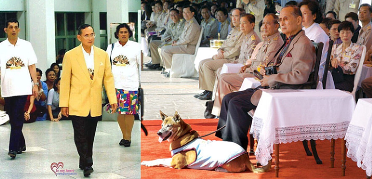 "งานออกแบบจากฝีพระหัตถ์ในหลวง ร.๙ ตามปรัชญาเศรษฐกิจพอเพียง"ที่ทรงใช้กระดุมเม็ดเดียวกับเสื้อโปโลคุณทองแดง