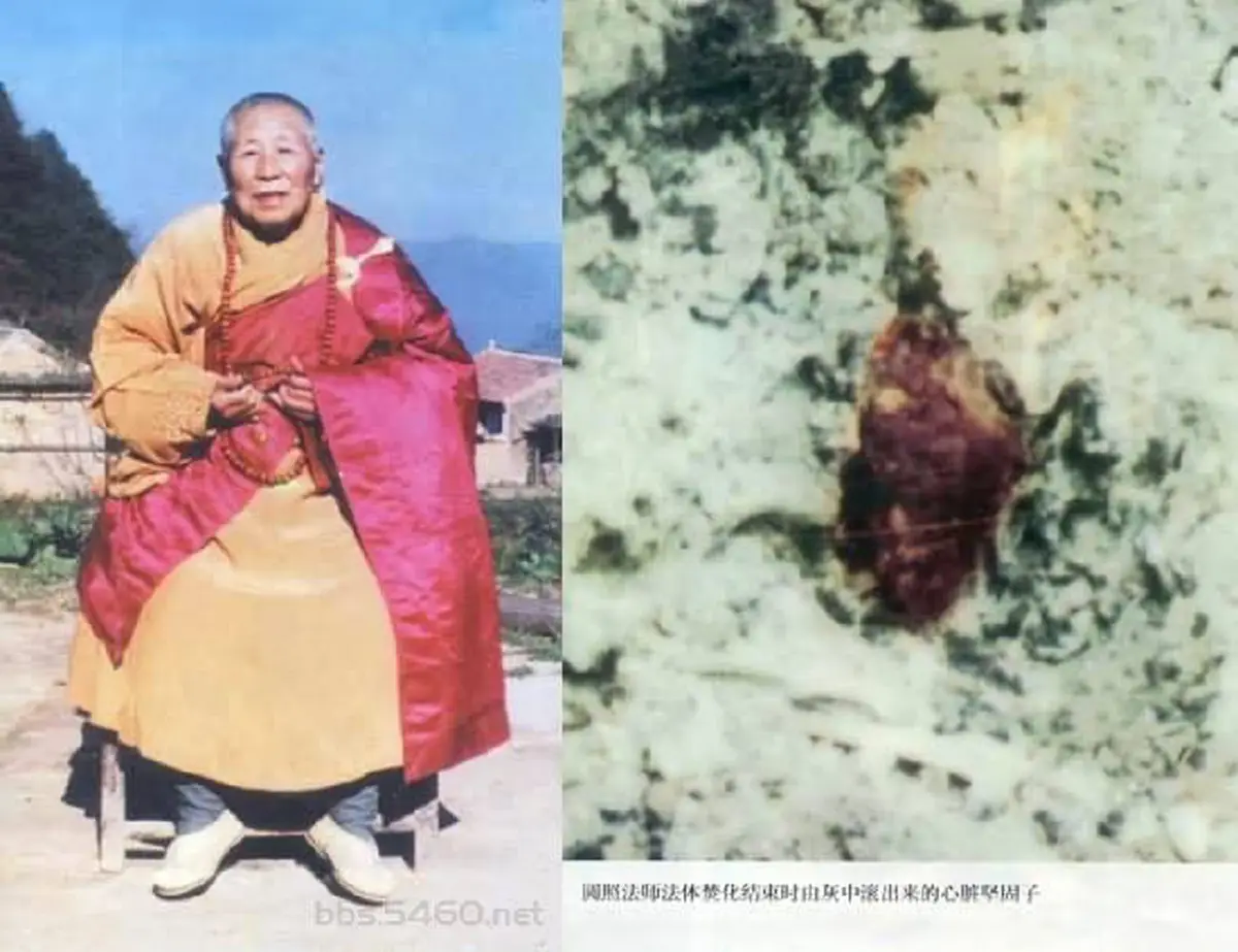 เหนือคำอธิบาย!! ปาฏิหาริย์แห่งศาสนา พระอริยะ..แม้สรีระร่างเผาไฟ แต่ "หัวใจ" ไม่สลาย ! เชื่อ ทิ้งหัวใจไว้ให้สรรพสัตว์...