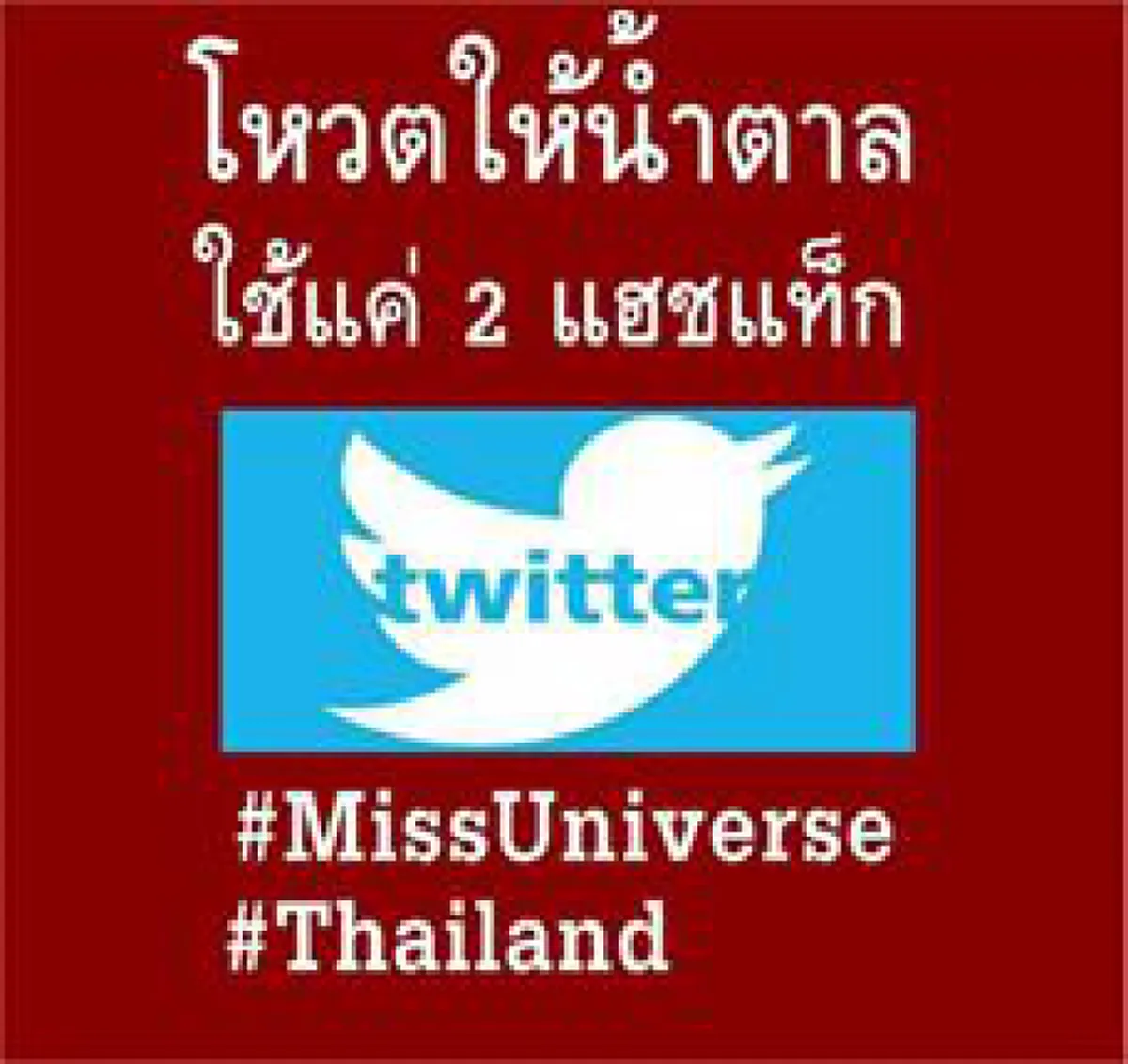 โซเชียลแทบแตก คนไทยแห่โหวต "น้ำตาล ชลิตา" เป็น "Miss Universe 2016" ผ่าน 4 ช่องทาง ใครไม่โหวตรออะไรอยู่ ???
