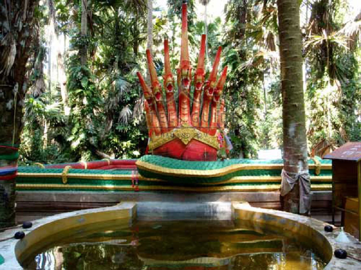 เผยตำนานป่าอาถรรพณ์ เกาะประหลาดลอยน้ำ มีต้นชะโนดแห่งเดียวในโลก เป็น แลนด์มาร์ก ทางเชื่อมไปบาดาล