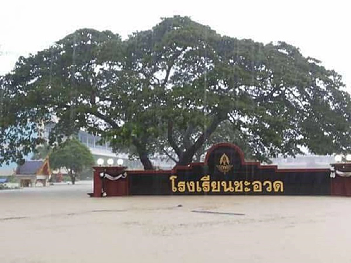 ยามสุข เราสนุก ยามทุกข์ เราไม่ลืมกัน!!! ส่องชัดๆคนบันเทิงแห่ลงพื้นที่ช่วยผู้ประสบภัยน้ำท่วม