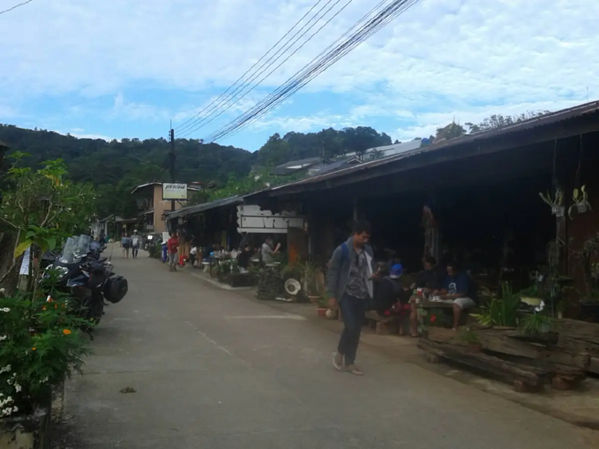 แพ็คกระเป๋าได้เลย!!นักท่องเที่ยวแห่ขึ้นปิล็อก สัมผัสหนาว ชมทุ่งดอกคอสมอส ทั้งดอกลิลลี่และดอกทิวลิปกำลังบาน!!สวยจริงๆ