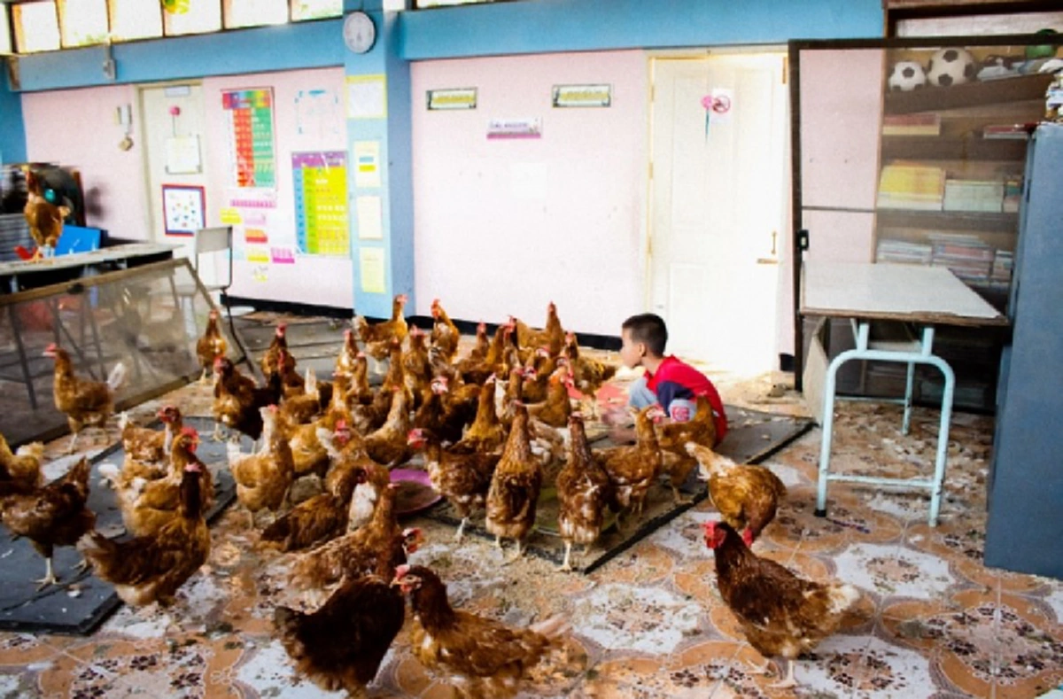 แม่พิมพ์ชาติของจริง!!! ผู้อำนวยการร.วิชาวดียึดศก.พอเพียงนำไข่จากไก่พระราชทาน ควบคู่ทำห่อหมกขายหาเลี้ยงประทังชีวิตนร.หลังโรงเรียนเผชิญน้ำท่วมหนัก