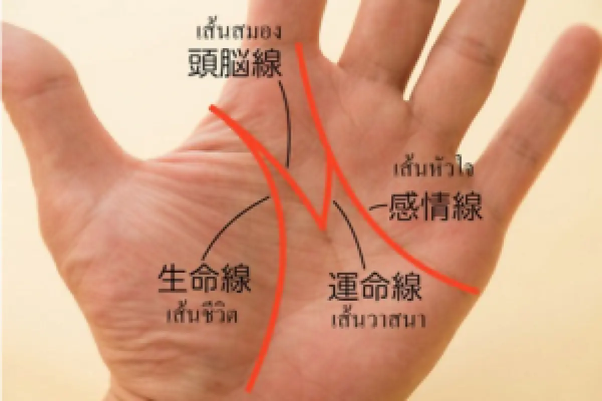 หงายฝ่ามือให้ไว! เช็คลายแทงชีวิต ใครมีเส้น "Lucky M" อยู่บนฝ่ามือ!?? เขาว่าโชคดีสุดๆ ฟ้าบันดาลให้เกิดมาเจอโชคลาภ #ชีวิตยังมีหวัง