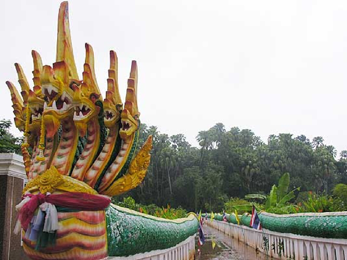 ตำนานต้นชะโนด ต้นไม้แห่งสวรรค์ มีที่เดียวในโลก เทวดาสร้างไว้เพื่อให้รู้ว่าเป็นแลนด์มาร์กเชื่อมบาดาลกับโลก