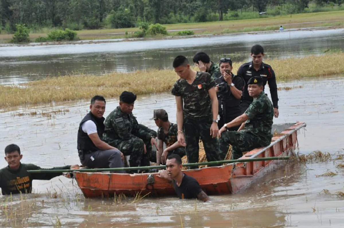 ทหารไม่เคยทิ้งประชาชน!!! ชาวนาสุดซึ้งใจ "กำลังพลทหาร" ช่วยเก็บเกี่ยว พร้อมขนข้าว ที่ถูกน้ำท่วมจมเสียหาย