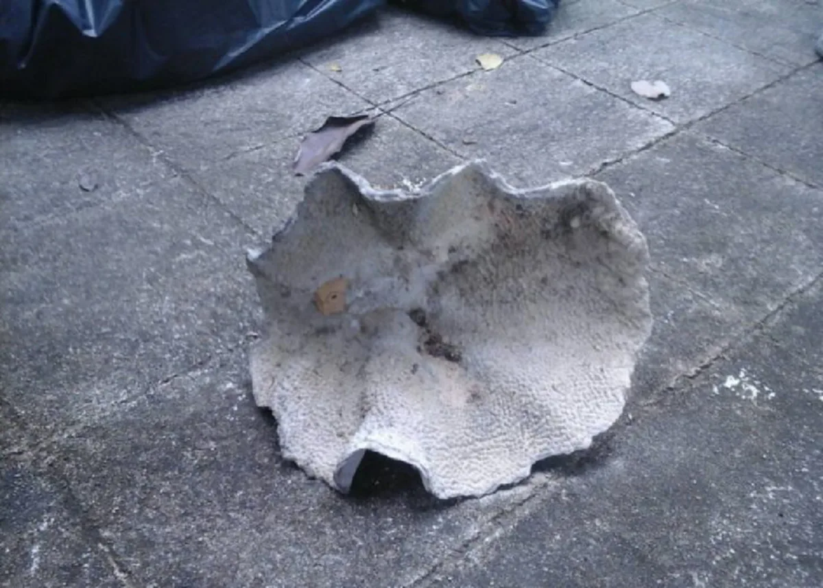 ปะการังยังทำลาย!!!...ศูนย์ปฏิบัติธรรม หรือรีสอร์ท สาขาธรรมกาย เกาะยาวน้อย จัดไปอีก1ข้อหา(รายละเอียด)