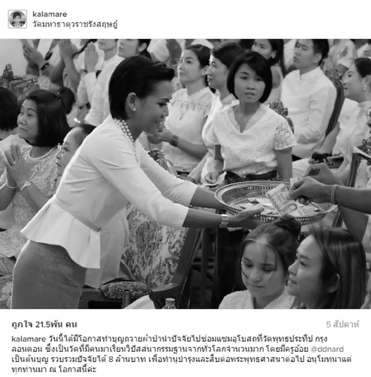 กาละแมร์ บินลัดฟ้า ร่วมปฏิบัติธรรมบนยอดเขาอินเดีย เจริญจิตภาวนาถวายพ่อหลวง (ชมภาพ)