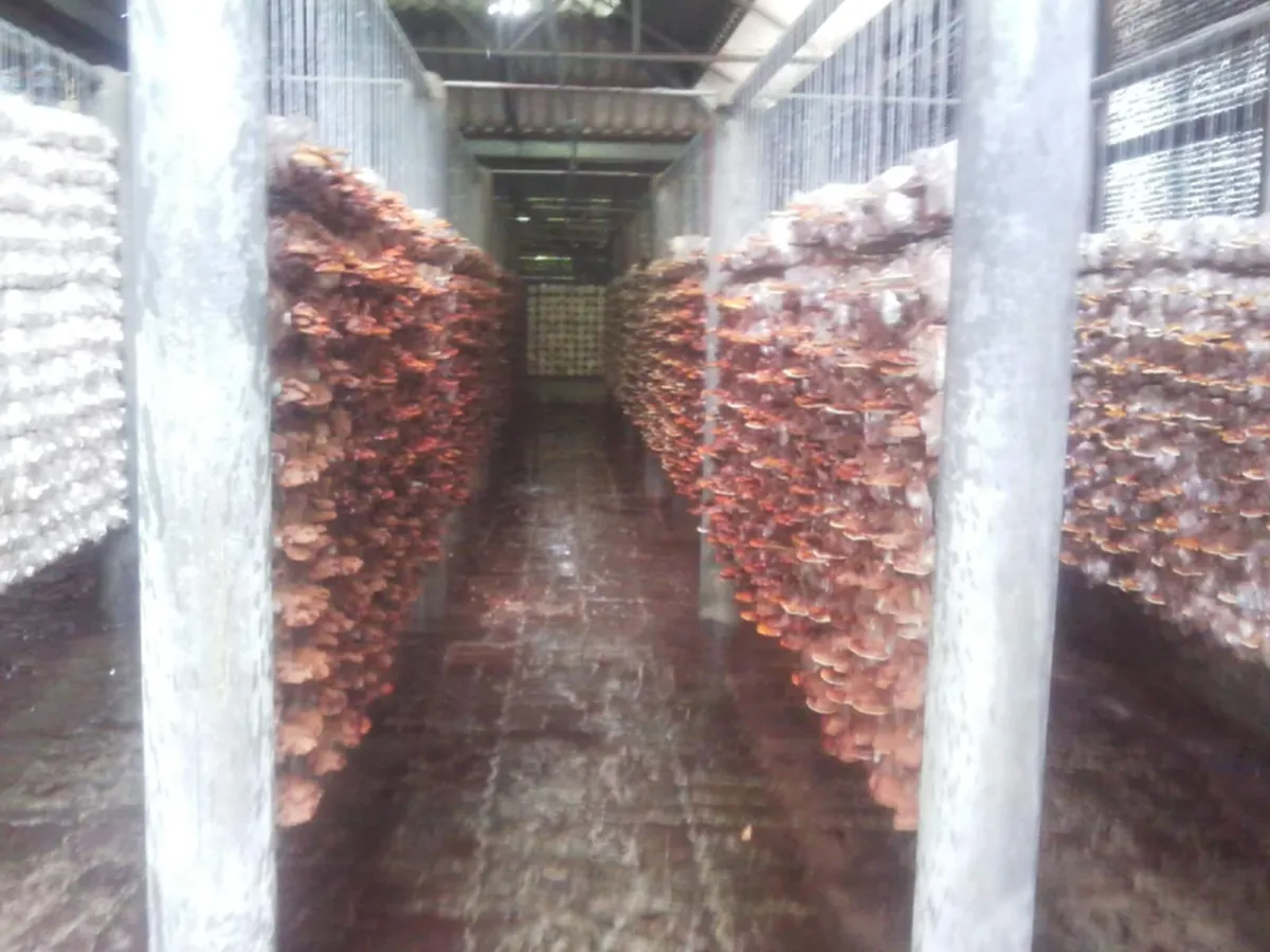 เคยเห็นกันหรือยัง "วังสวนจิตรลดา บ้านของพ่อ...พระราชวังเดียวในโลก.. ที่มีแต่ท้องไร่ท้องนา"(ภาพ)