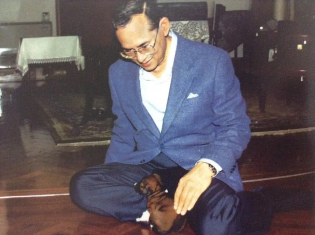 ย้อนระลึกถึง "คุณทองแดง" สุนัขทรงเลี้ยง สุนัขที่ 17 องครักษ์ 4 ขา ที่แสนซื่อสัตย์ต่อ "ในหลวง ร.๙"(ภาพ)