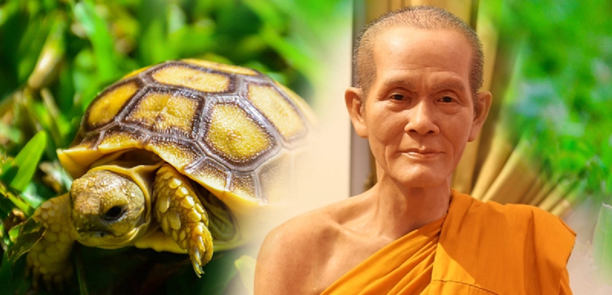 ปริศนาธรรมเรียบง่ายที่เจ้าคุณนรฯหยิบยกจากธรรมชาติ "เต่า" กับ "อายตนะหก" ฟังแล้วบอกได้คำเดียว สาธุสาธุสาธุ!!!