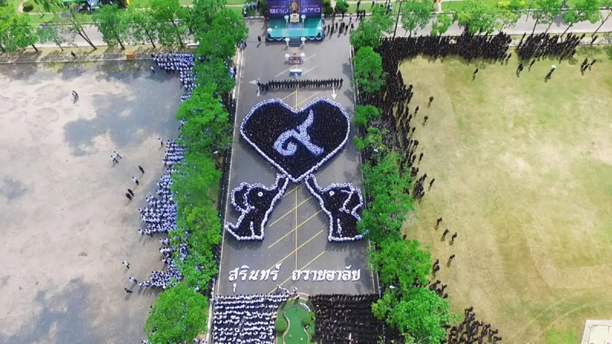 สุดอลังการ!! ชาวเมืองช้าง ทุกหมู่เหล่า ร่วมแปรอักษร ถวายแด่ในหลวง รัชกาลที่9 พร้อมสื่อความหมายที่ลึกซึ้ง!! ( มีภาพ ) 