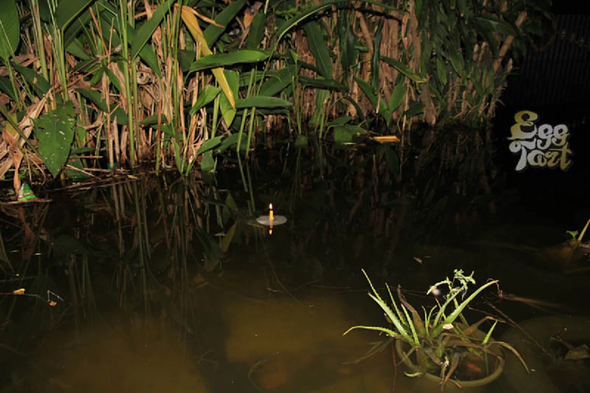 ใครยังไม่มีกระทง ลองแบบนี้...ก็ไม่เสียหาย!!! กระทงน้ำแข็ง  กระทง...รักษ์โลก (ภาพ)