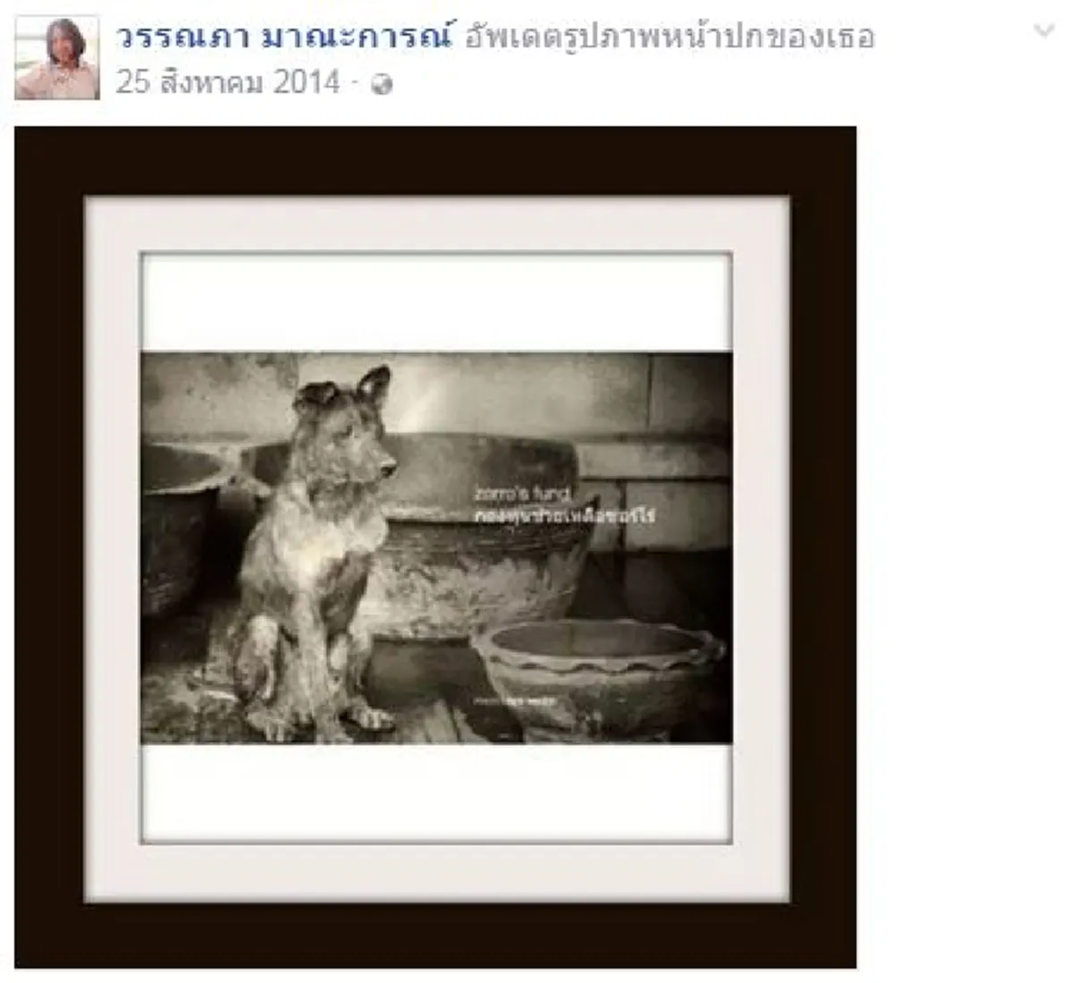 รู้ความจริงแล้ว!!! ทำไม "น้องแอ๋ม" ถึงยอมเสี่ยงตายไปช่วยชีวิตสุนัขกลางถนน จิตใจของเธอเป็นคนเมตตาและเคยทำดีให้สุนัขมาแล้วมากมาย 