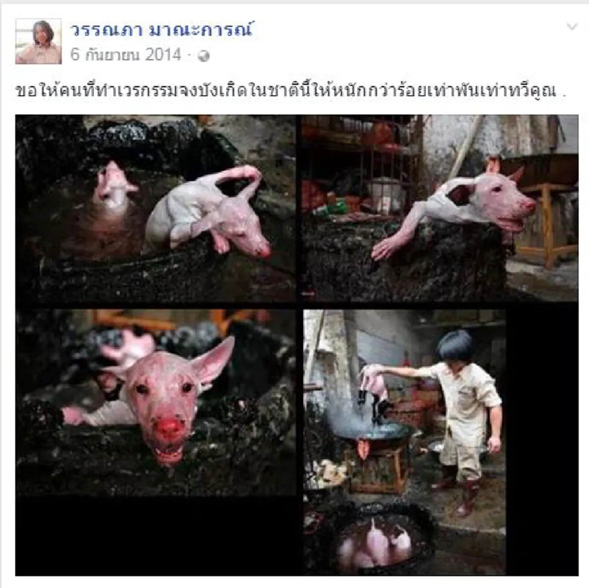 รู้ความจริงแล้ว!!! ทำไม "น้องแอ๋ม" ถึงยอมเสี่ยงตายไปช่วยชีวิตสุนัขกลางถนน จิตใจของเธอเป็นคนเมตตาและเคยทำดีให้สุนัขมาแล้วมากมาย 