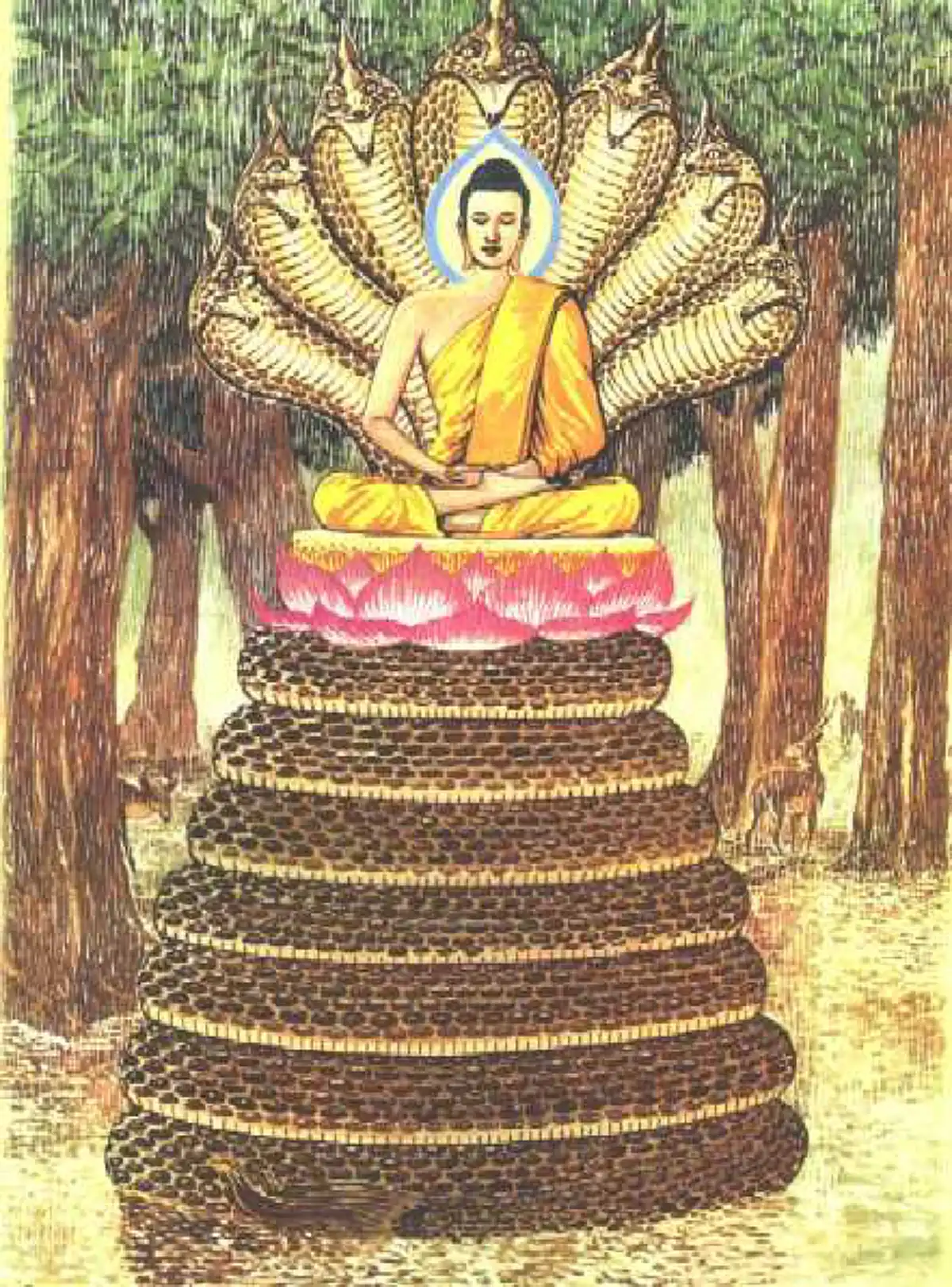 เช็คด่วน! นิสัยแบบนี้มีวาสนากับพญานาค เชื่อว่าตรงกับหลายคนแน่ แถมพาไปรู้จักพระนามกษัตริย์บาดาล9พระองค์ในตำนาน