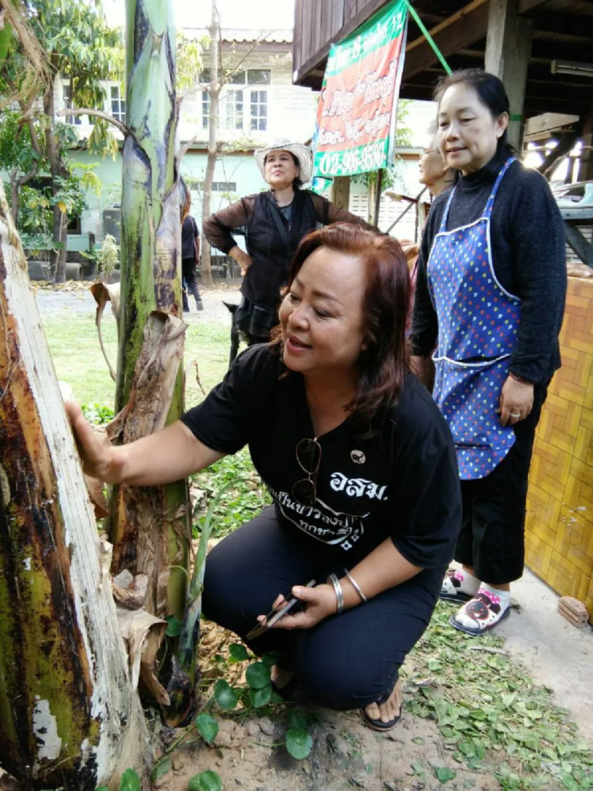 ฮือฮา อย่างแรง!! "กล้วย100หวี พันลูก" ยายวัย 77 บอกปลูกแล้ว ปึ๋งปั๋งราวกับสาวแรกรุ่น-ขณะคอหวยได้เลขเบิ้ลเต็มๆ!!