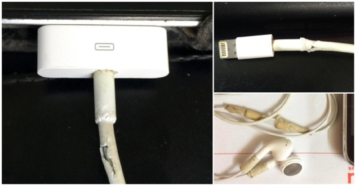 พีคโคตรๆ! คอมเม้นท์ ที่ชาวเน็ตอยากเห็น Apple สร้างมากที่สุด? ในปี 2016 ... เห็นแล้วถึงกับปวดตับมากจริงๆ!? 