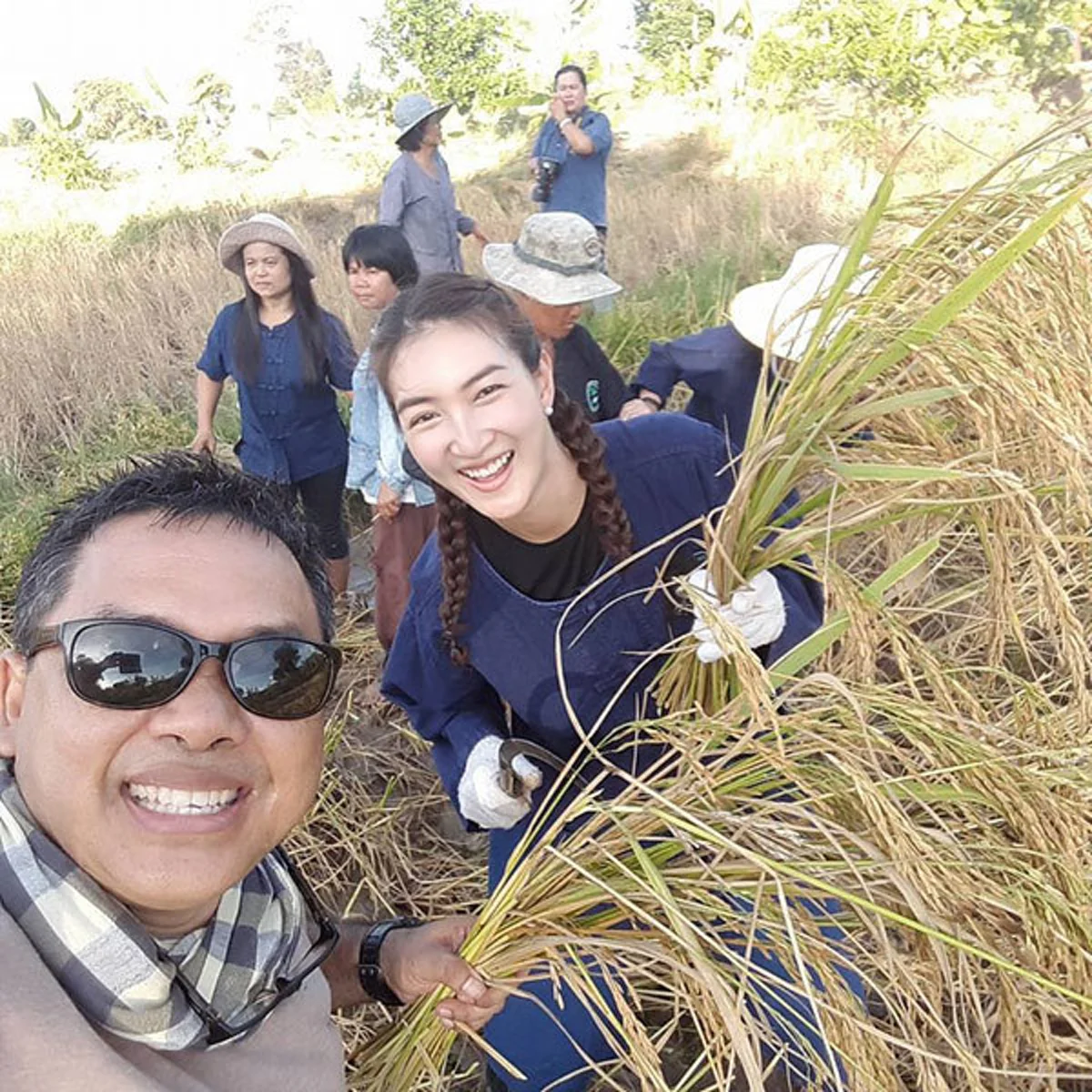 ขอเดินตามรอยพ่อ..."แพนเค้ก เขมนิจ" สลัดคราบซุปตาร์ สวมชุดม่อฮ่อมลงลุยนาเกี่ยวข้าว หลังซื้อที่นา จ.สุรินทร์เพื่อเรียนรู้เกษตรทฤษฎีใหม่