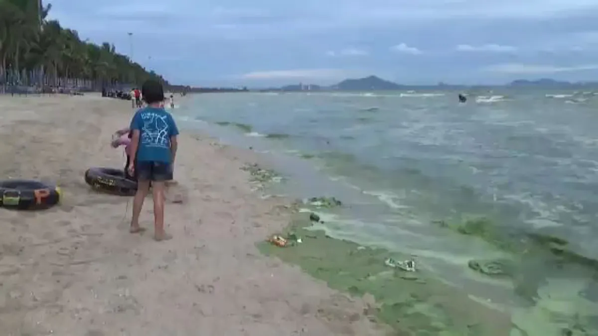 นักท่องเที่ยวแตกตื่น!! น้ำทะเลหาดบางแสนเป็นสีเขียวปี๋ แถมส่งกลิ่นเหม็นคาว!! (มีภาพ)