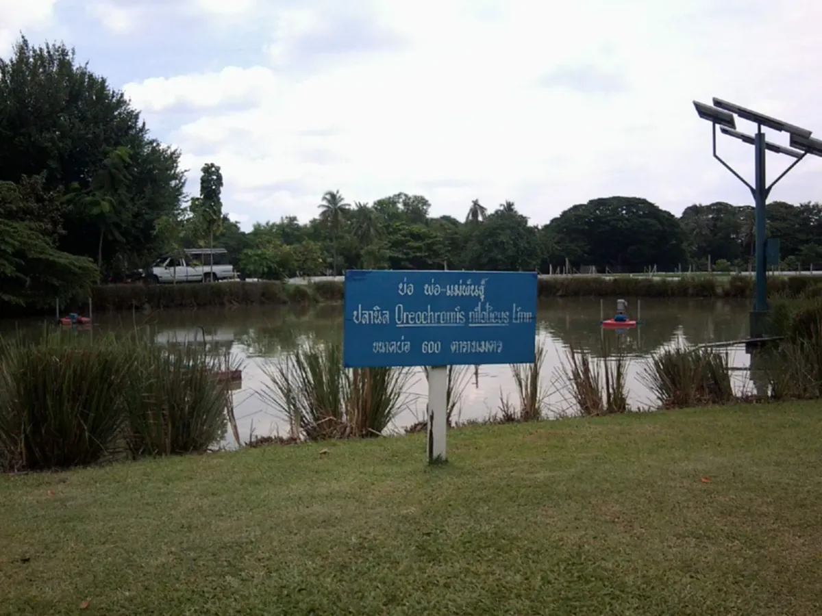 เคยเห็นกันหรือยัง "วังสวนจิตรลดา บ้านของพ่อ...พระราชวังเดียวในโลก.. ที่มีแต่ท้องไร่ท้องนา"(ภาพ)