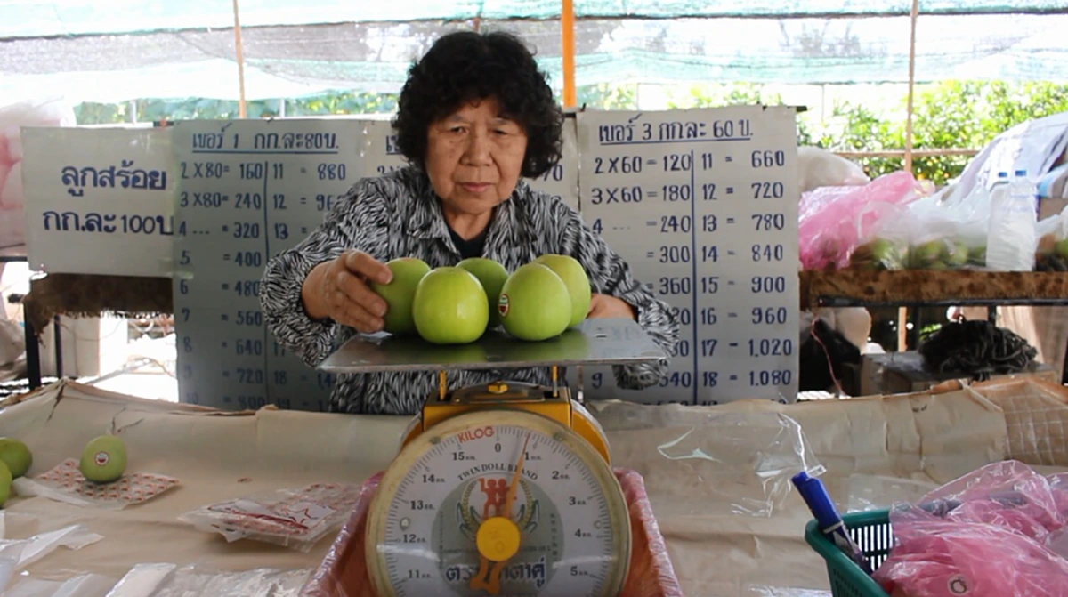 ต้องสั่งจอง ออกปีละครั้งรีบเลย!!!ของดีบ้านฉางเมืองระยอง พุทราซุปเปอร์จัมโบ้ !! ปีนี้ มียอดสั่งจองไปถึงปีหน้าแล้ว
