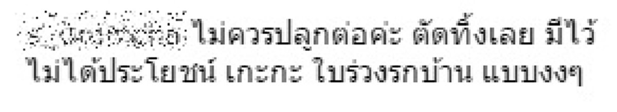 เดือดร้อน"ต้นหูกระจง"!!!โดนครหาไม่หยุด "ยุวเรต" ไฮโซคนดังเลยลุกมาโพสต์ภาพต้นไม้พร้อมแคปชั่น-แฮชแท็กเด็ดทิ้งท้ายทำขาเม๊าส์ถึงซู๊ดส์ปาก !!