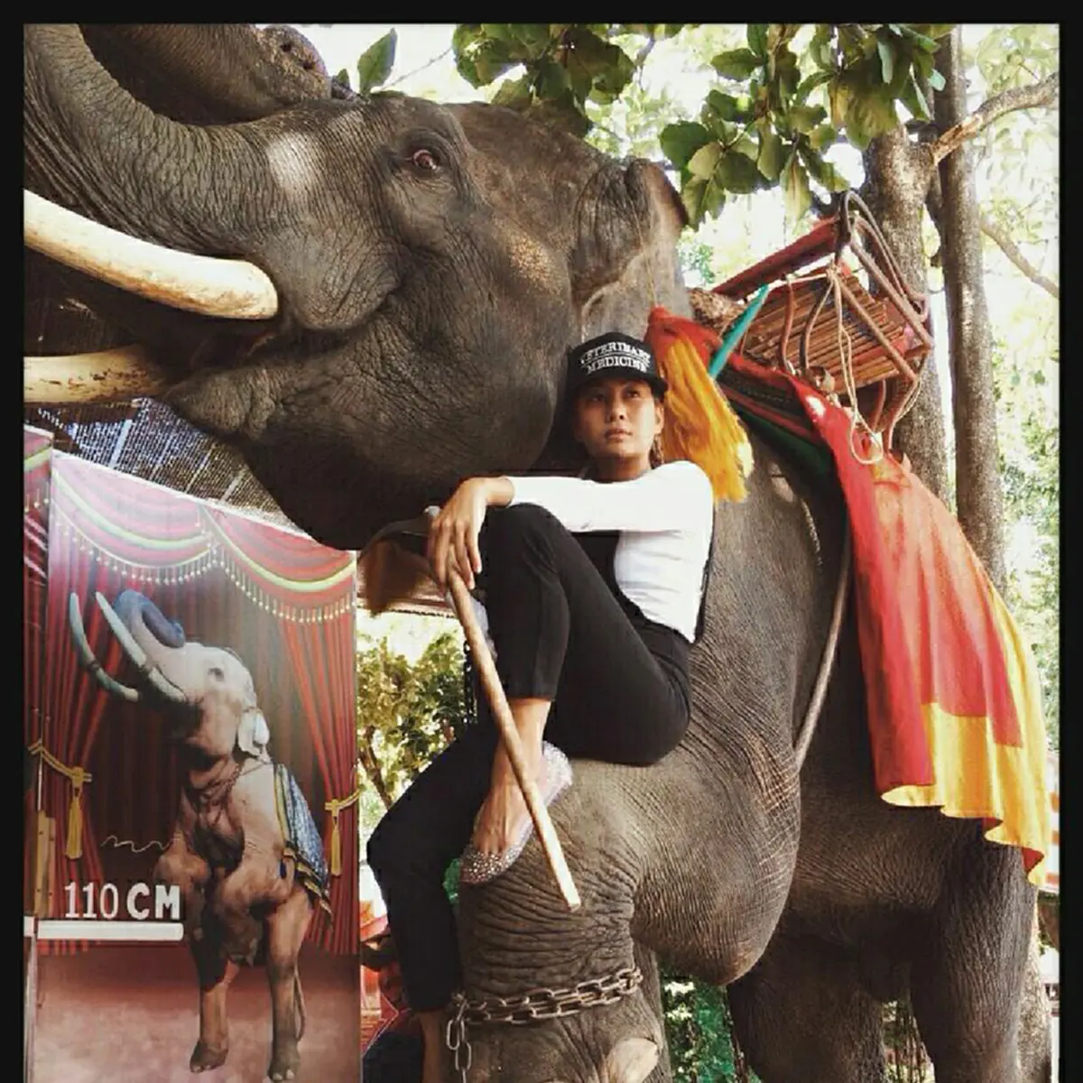 สมกับเป็นงานช้างจริงๆ!!! เปิดภาพวิวาห์หวาน "หมอพลอย" ควาญช้างหญิงกับหนุ่มเจ้าของฟาร์มม้า อะไรจะเวอร์วังขนาดนี้?