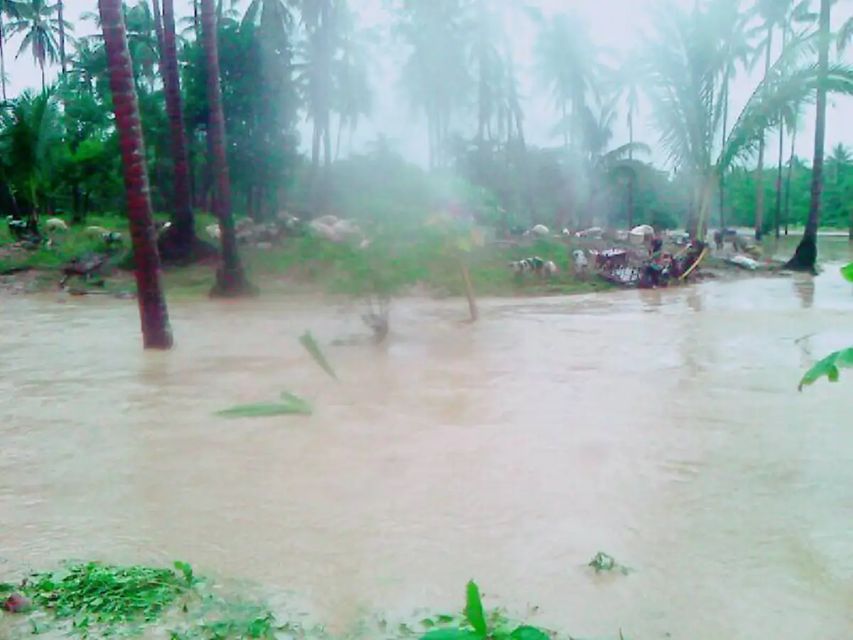 น้ำพระทัยสุดยิ่งใหญ่ ...ทรงนึกถึง "สัตว์" ที่กำลังเดือดร้อนจากน้ำท่วมใต้ (ภาพชุด+รายละเอียด)