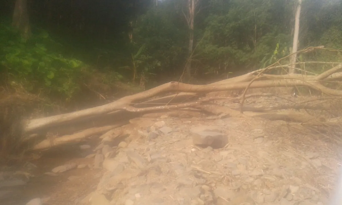 น้ำพระทัยสุดยิ่งใหญ่ ...ทรงนึกถึง "สัตว์" ที่กำลังเดือดร้อนจากน้ำท่วมใต้ (ภาพชุด+รายละเอียด)