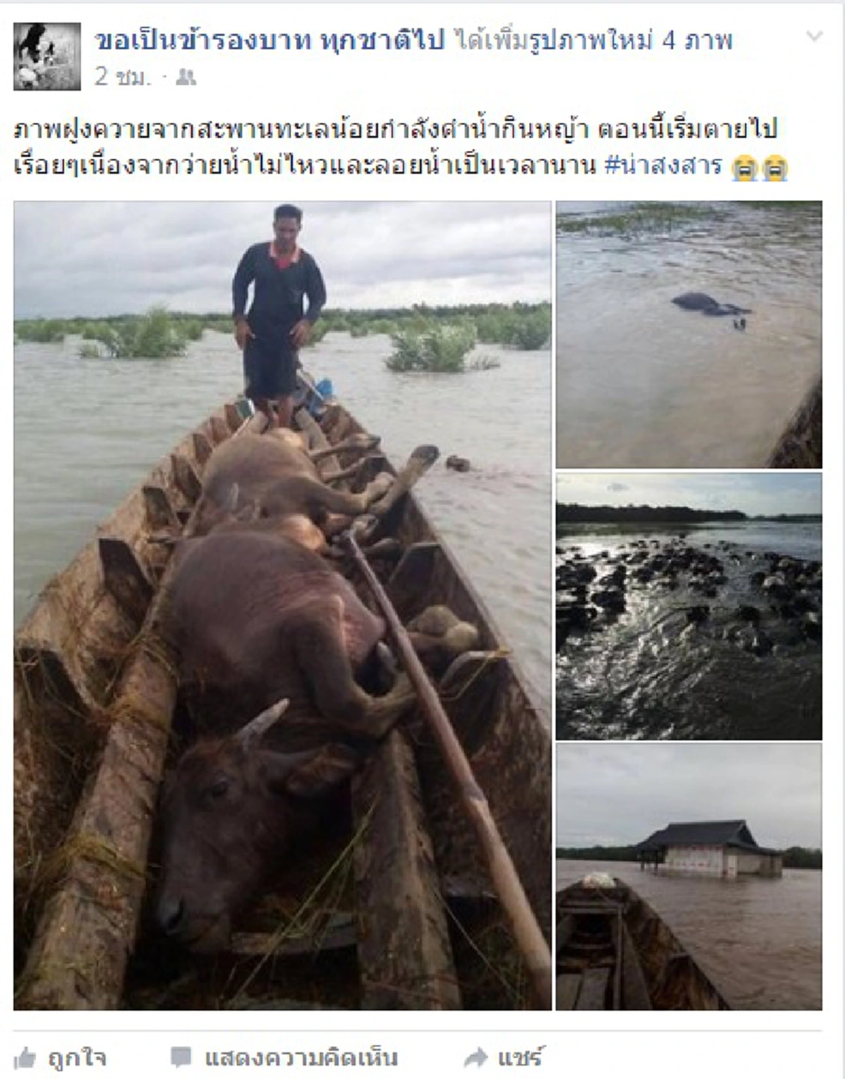 น้ำพระทัยสุดยิ่งใหญ่ ...ทรงนึกถึง "สัตว์" ที่กำลังเดือดร้อนจากน้ำท่วมใต้ (ภาพชุด+รายละเอียด)
