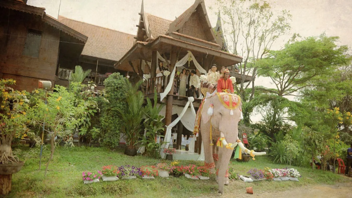 สมกับเป็นงานช้างจริงๆ!!! เปิดภาพวิวาห์หวาน "หมอพลอย" ควาญช้างหญิงกับหนุ่มเจ้าของฟาร์มม้า อะไรจะเวอร์วังขนาดนี้?