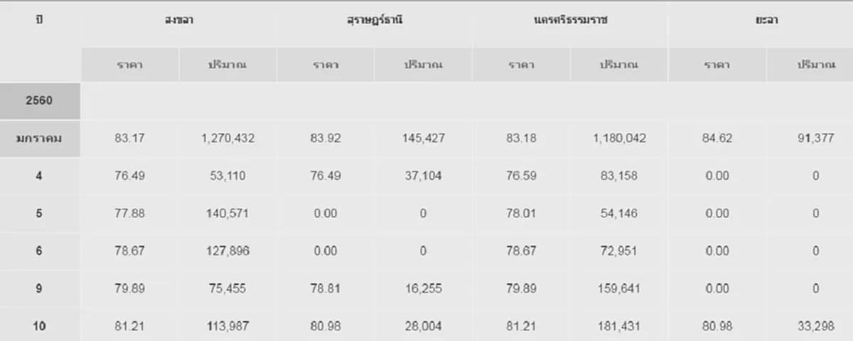 มาแล้ว!!! ราคา"ยางพารา"ภาคใต้ "พุ่ง"  ชาวสวนรีบเช็คราคาด่วน!!