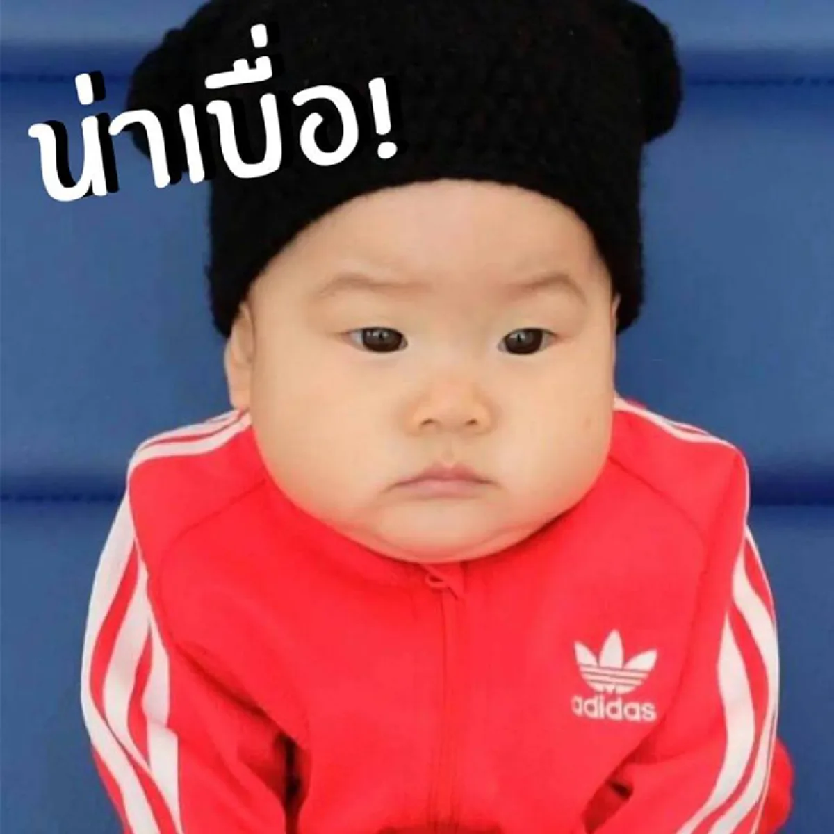 ฮาหนักมาก!!! เมื่อ "เจ๊เปา บางพลี" ถูกนำมาทำเป็นสติ๊กเกอร์ไลน์ บอกเลยเห็นหน้านิ่งๆแบบนี้ นางมีครบทุกอารมณ์นะจ๊ะ จะฮาไปไหน!!! (มีภาพ)