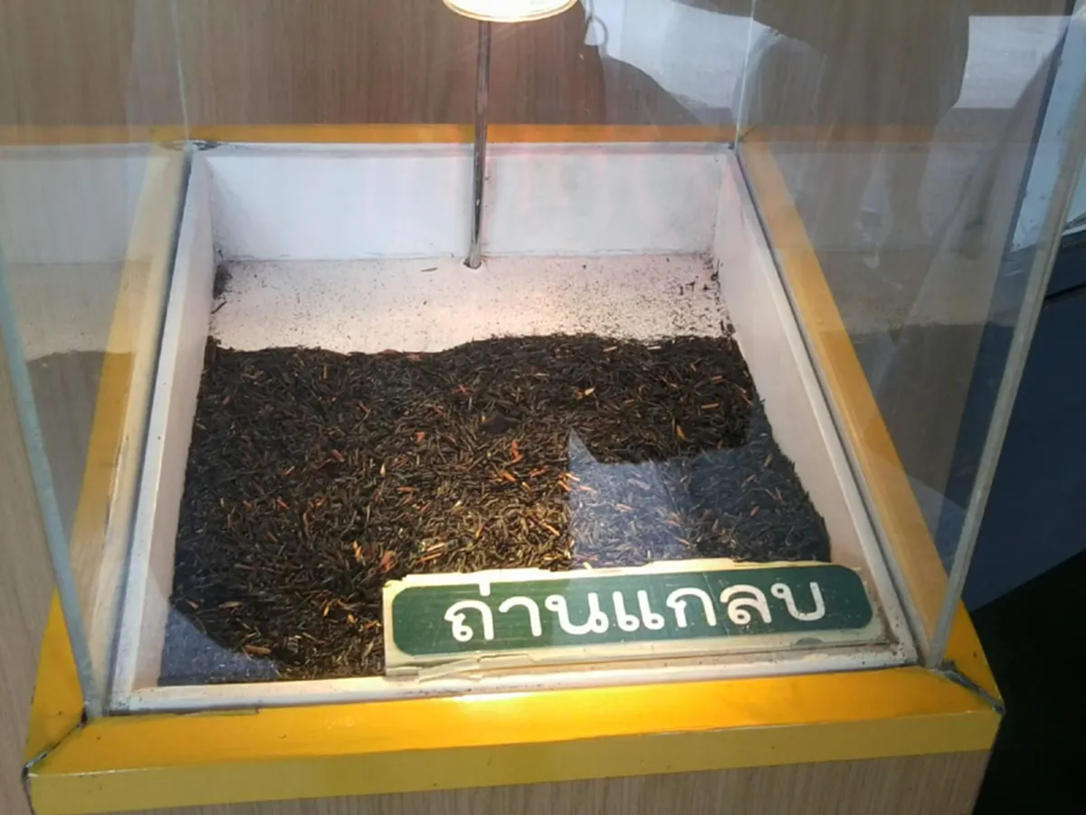 เคยเห็นกันหรือยัง "วังสวนจิตรลดา บ้านของพ่อ...พระราชวังเดียวในโลก.. ที่มีแต่ท้องไร่ท้องนา"(ภาพ)