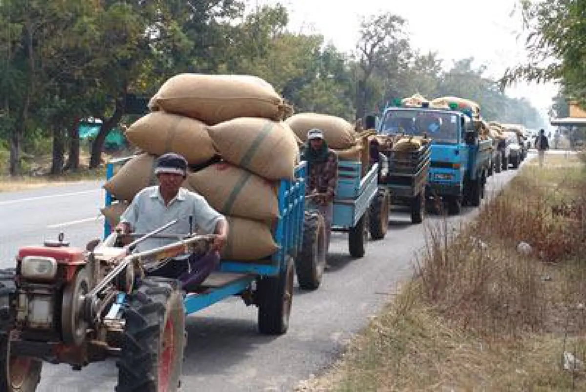 สบายมานาน..ทีนี้วุ่นเลย!!! ผู้ค้าข้าวถุงรับชาวนาลุกขึ้นสู้ชีวิต ขนข้าวขายตรงปชช.กระทบยอดร่วง ต้องคุยห้างใหญ่ปรับลดราคาด่วนๆ