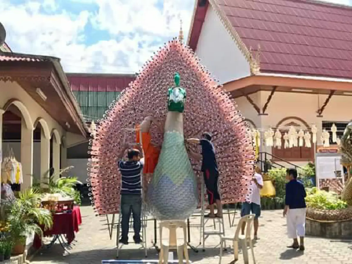 ไอเดียดี!!ชาวป่าซางจ.ลำพูนทอดกฐินนกยูงรำแพนยักษ์!!เพื่อถวายเป็นพระราชกุศลแด่ในหลวง ร.๙